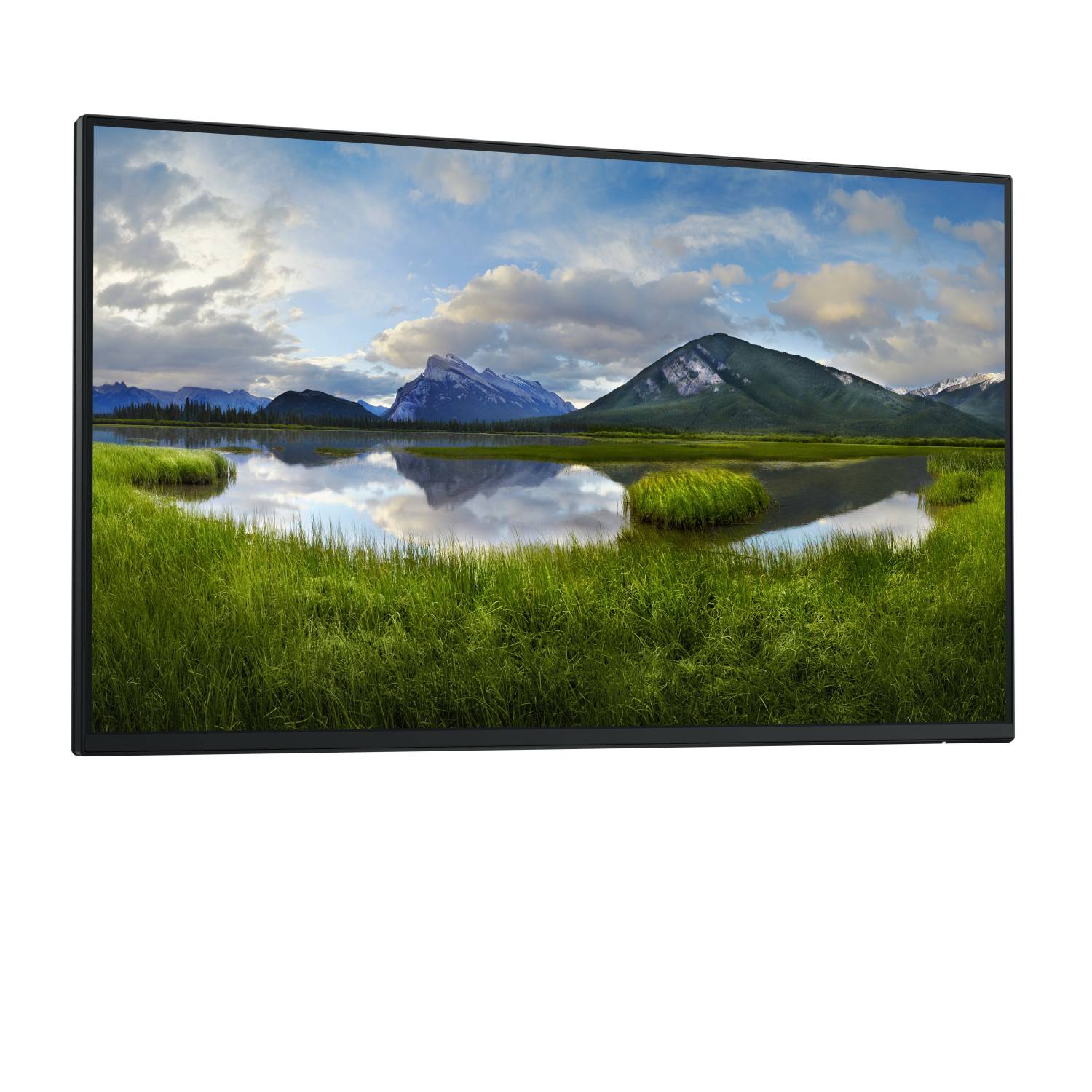 DELL P2425HWO Monitor 61,0 cm (24,0 Zoll) schwarz