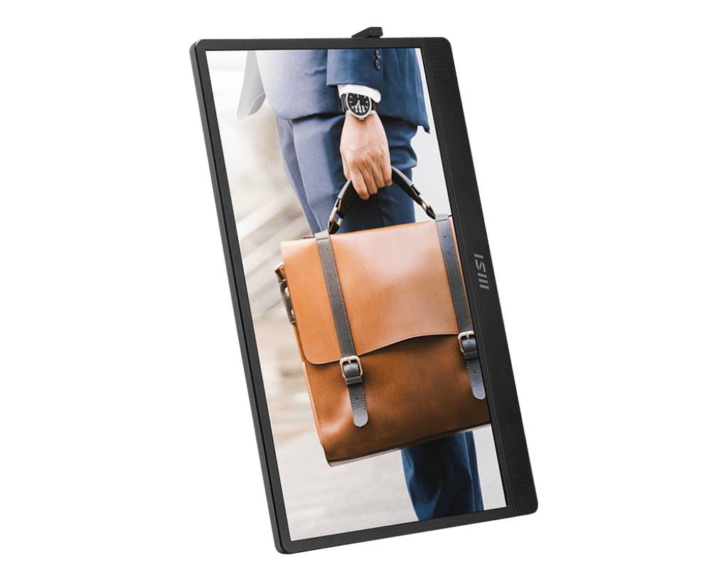 PRO MP161DE E2 Mobiler Monitor - IPS, Lautsprecher, USB-C