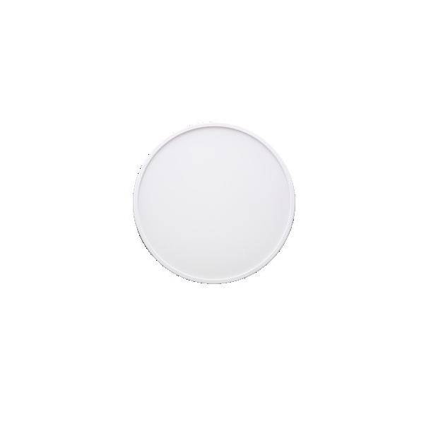 LED-Deckenleuchte Aufbau WD 300 R ws 20W SCCT MP