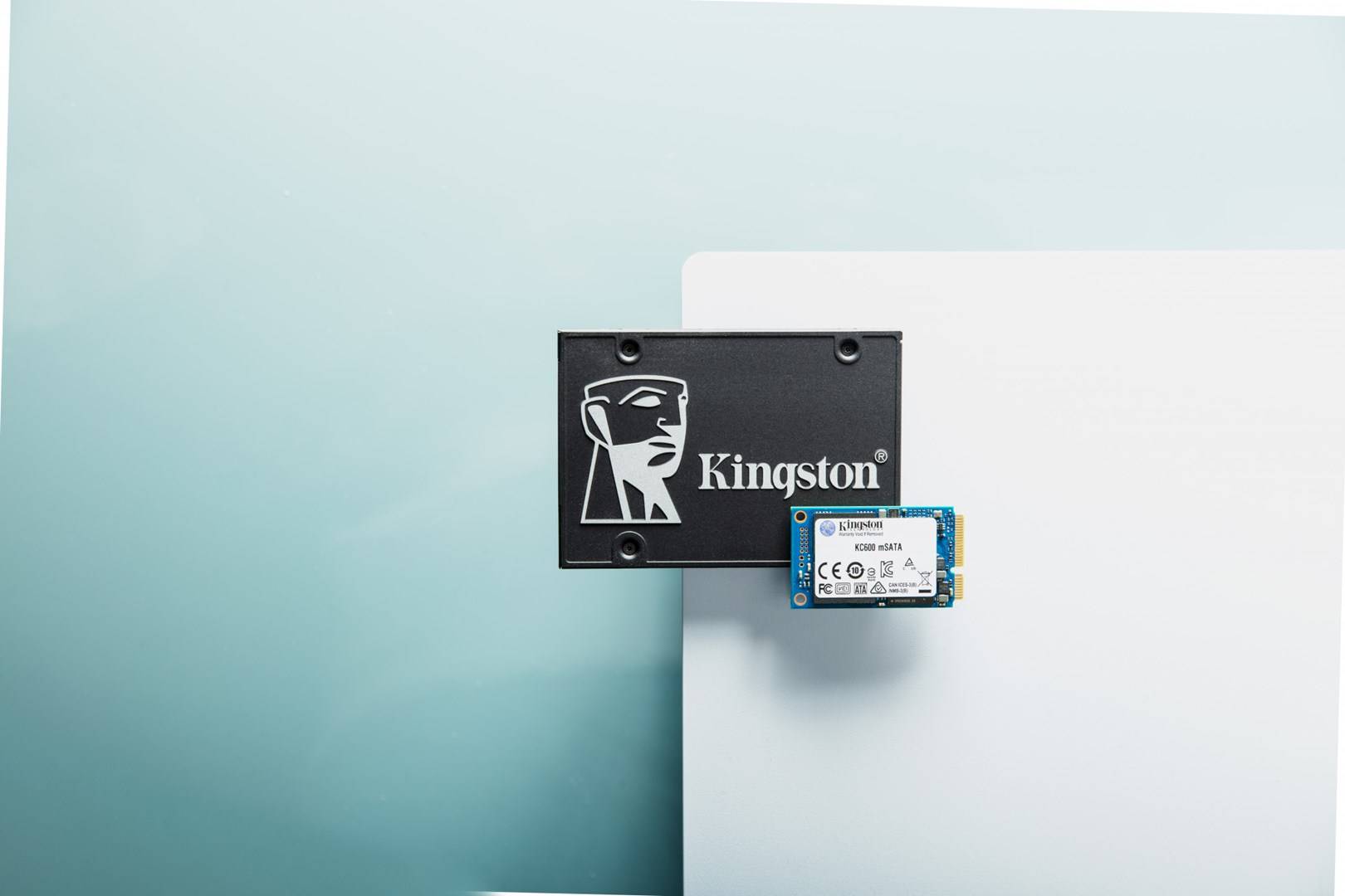 Kingston 256 GB Interne mSATA SSD SATA 6 Gb/s Retail SKC600MS/256G