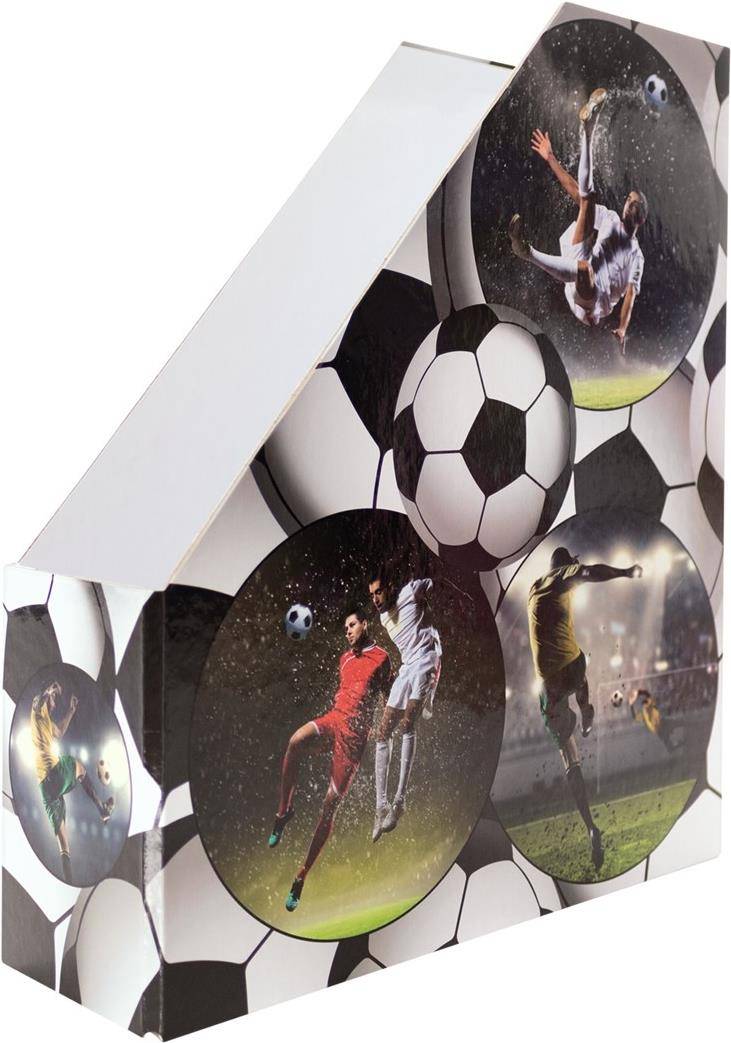 Stehsammler Karton Fussball