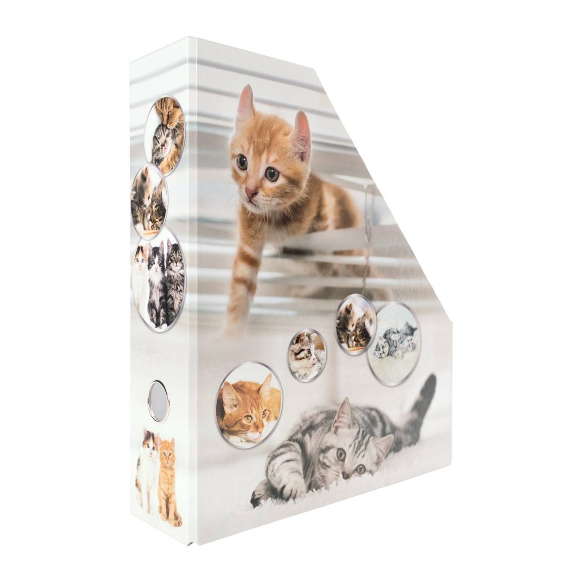 Stehsammler Karton Katzen