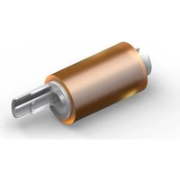 Epson Papierzufuhrwalze - für WorkForce Enterprise AM-C5000 Epson Papierzufuhrwalze - für WorkForce Enterprise AM-C5000