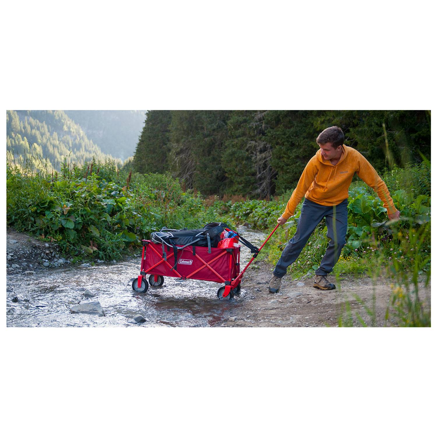 Coleman Camping Bollerwagen