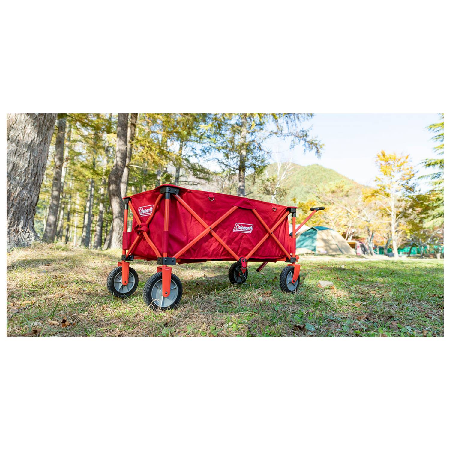 Coleman Camping Bollerwagen