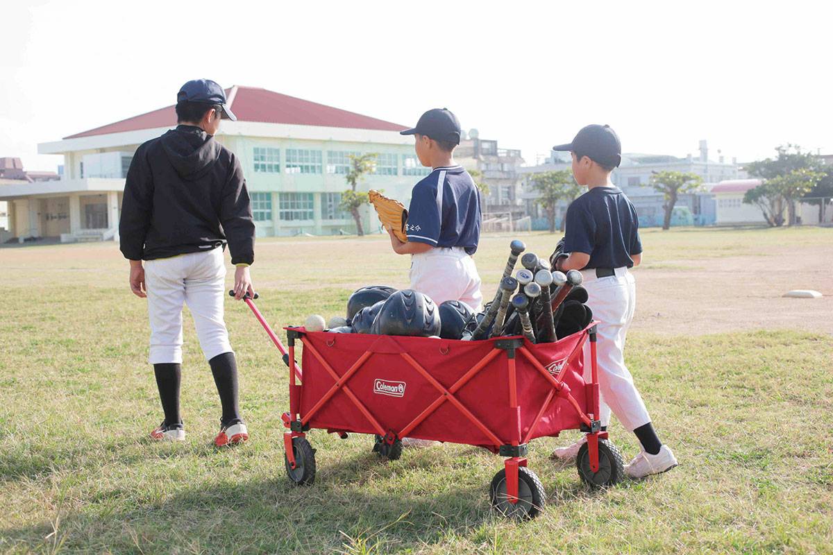 Coleman Camping Bollerwagen