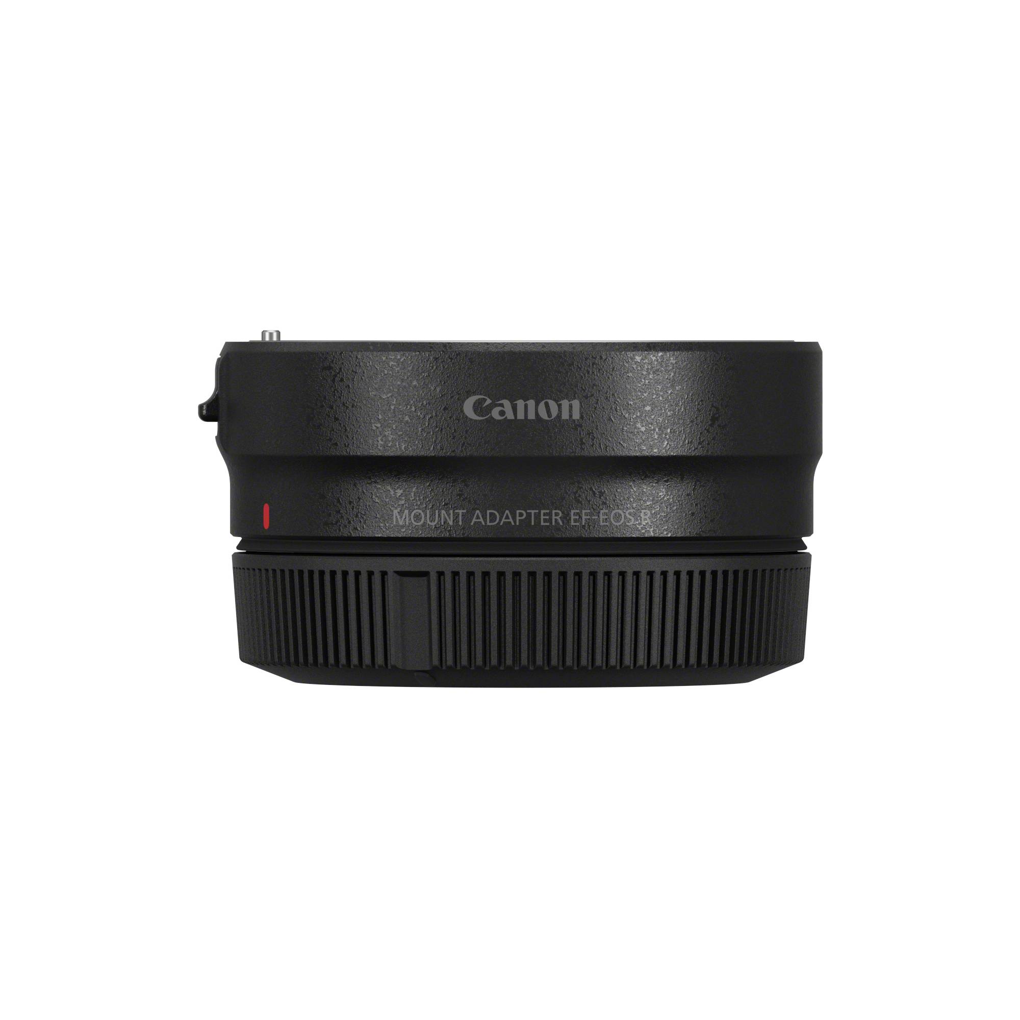 Canon Mount Adapter - Objektivadapter EF - EOS R - für EOS R