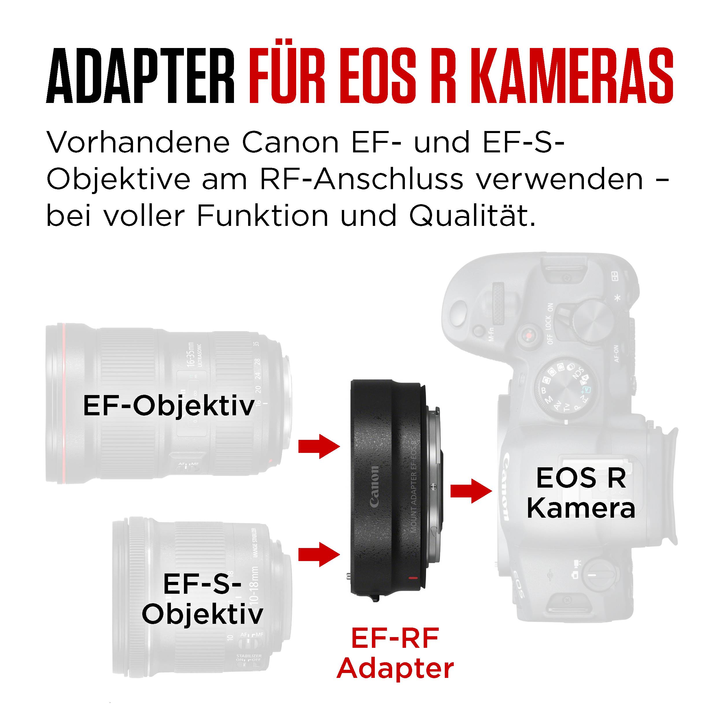 Canon Mount Adapter - Objektivadapter EF - EOS R - für EOS R