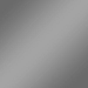 Plottix SpeedFlex Metallic Aufbügelfolie silber Flex-Folie 32.0 x 50.0 cm 1 - Au