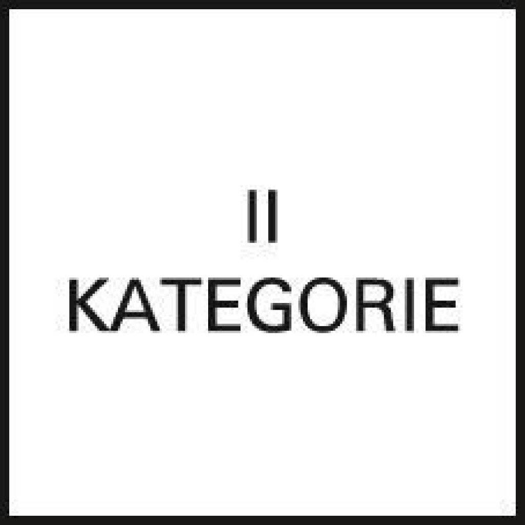 12 Paar NITRAS Nitrilhandschuh blau Stulpe teilbeschichtet Gr.9 Arbeitshandschuh