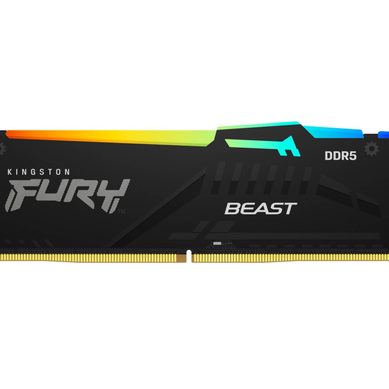 Kingston FURY Beast RGB PC-Arbeitsspeicher Kit DDR5 32 GB 2 x 16 GB Non-ECC 5600 MHz 288pin DIMM CL40 KF556C40BBAK2-32