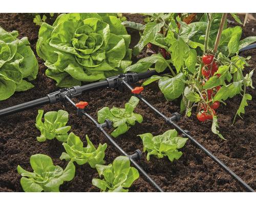 GARDENA Reihentropfer für Tropfschlauch Micro-Drip-System 2l/h