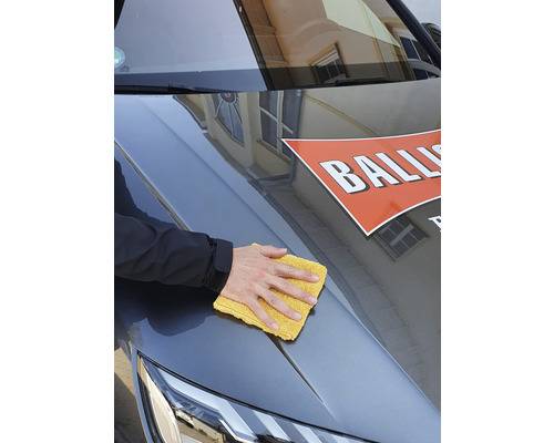 Trockenreiniger+Detailer 750 ml, EURO