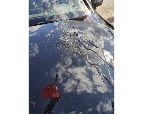 Trockenreiniger+Detailer 750 ml, EURO