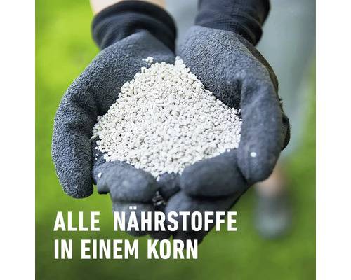 Rasen-Langzeitdünger COMPO 8 kg 320 m² mineralischer Dünger