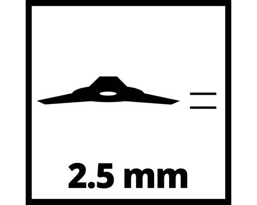 Einhell 3405082 DickichtmesserBlade - 255mm - 300g - Bkacj