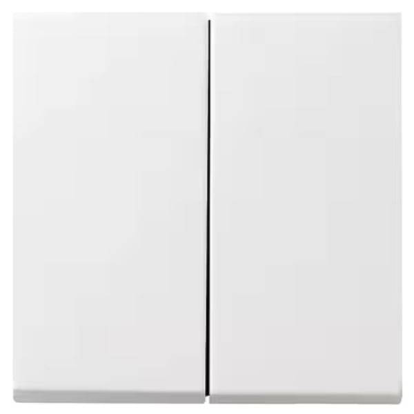 Gira Wippe Seriensch. rws 029527