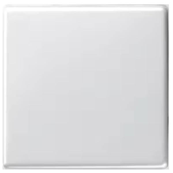 GIRA Abdeckung Wechselschalter, Ausschalter, Kreuzschalter System 55, Standard 55, E2, Event, Event Klar, Event Opak, Esprit, ClassiX Sauber-Weiß (g