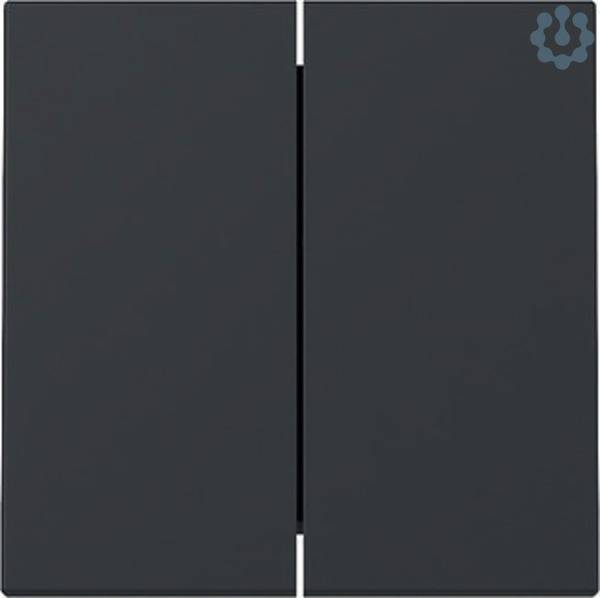 GIRA 329528 Wippe 2f System 55 Anthrazit