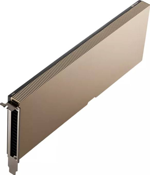 NVIDIA A10 - GPU-Rechenprozessor - Tensor Core - 24 GB GDDR6 - PCIe 4.0 x16 - Grafikkarte - PCI-Expr