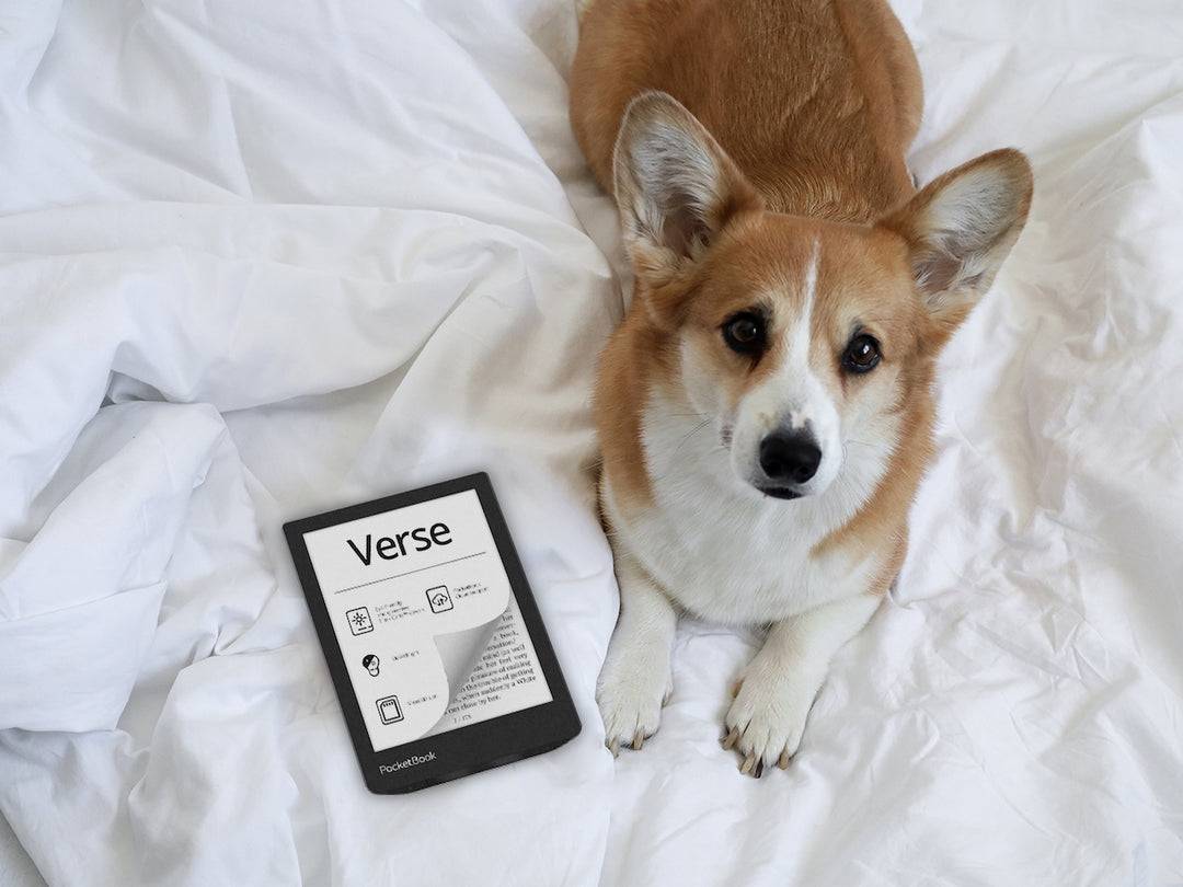 Ebook Verse 629 6 8GB Wi-Fi Mist Gray