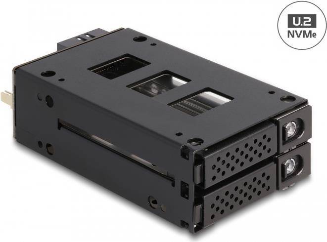 Delock Mobiles Speicher-Rack - schmaler Schacht - 5,25" bis 2 x 2,5" (13,3 cm bis 2 x 6,4 cm)