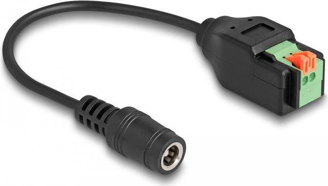 DELOCK DC 5,5 x 2,1 mm Bu > 2 Pin Terminalblock Adapter 15cm