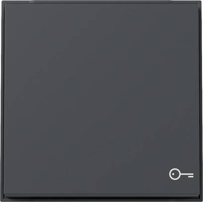 Gira Wippe Symb. Tür 328767