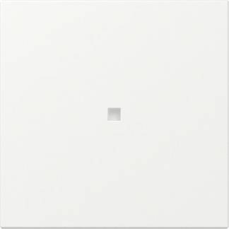 Gira Wippe gerade Kontrollf. 349027