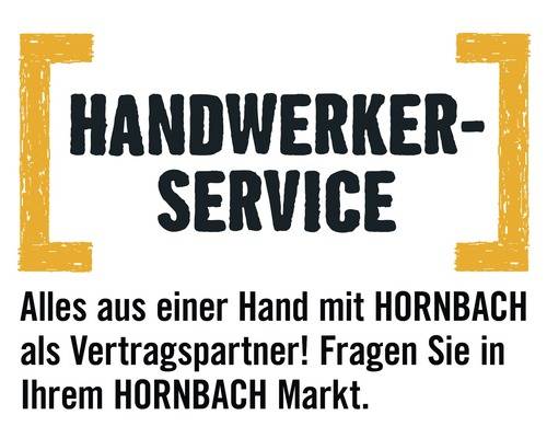 hansgrohe Küchenarmatur LOGIS M31 chrom 71830000