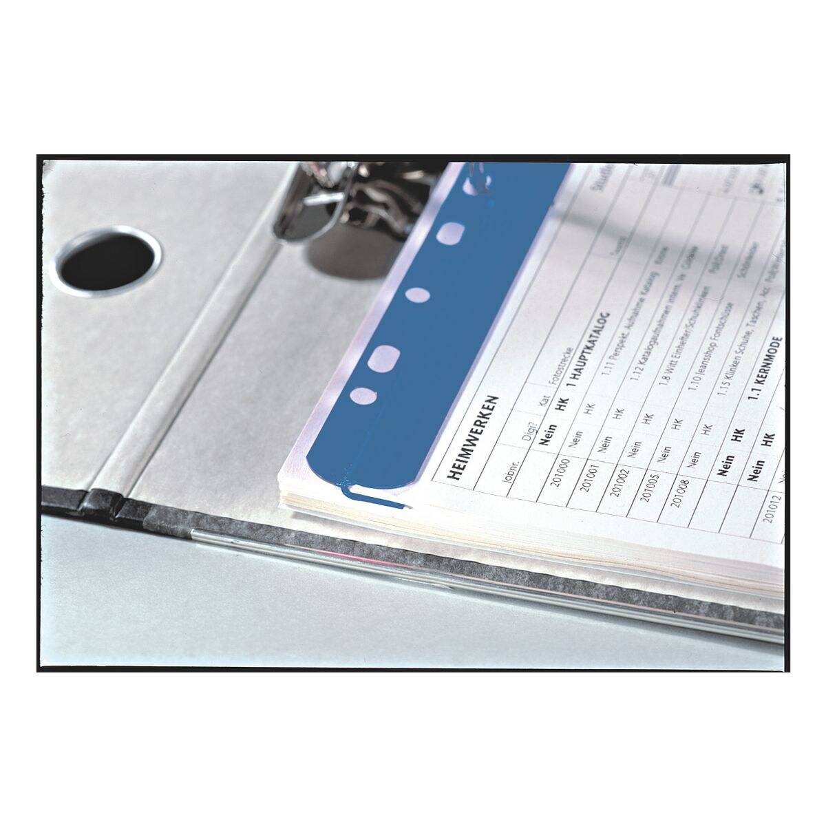 Expro Klemmschienen mit Abheftleiste DIN A4 0.3 cm blau 2204-25/04