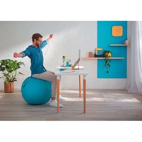 Leitz Ergo Cosy 52790061 1 St.