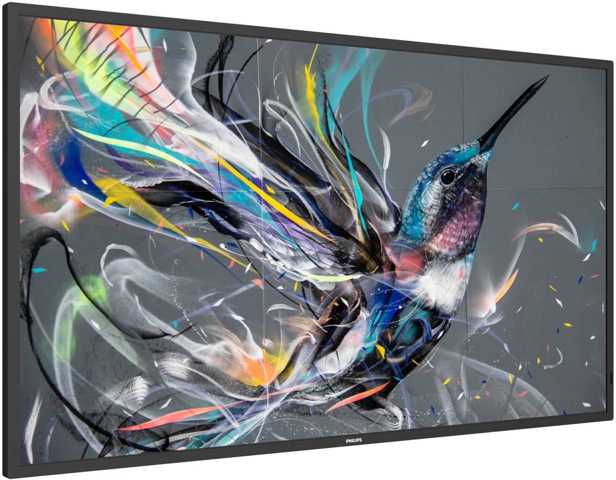 Philips 50BDL3650Q - 127 cm (50") Diagonalklasse (125.7 cm (49.5") - sichtbar) -