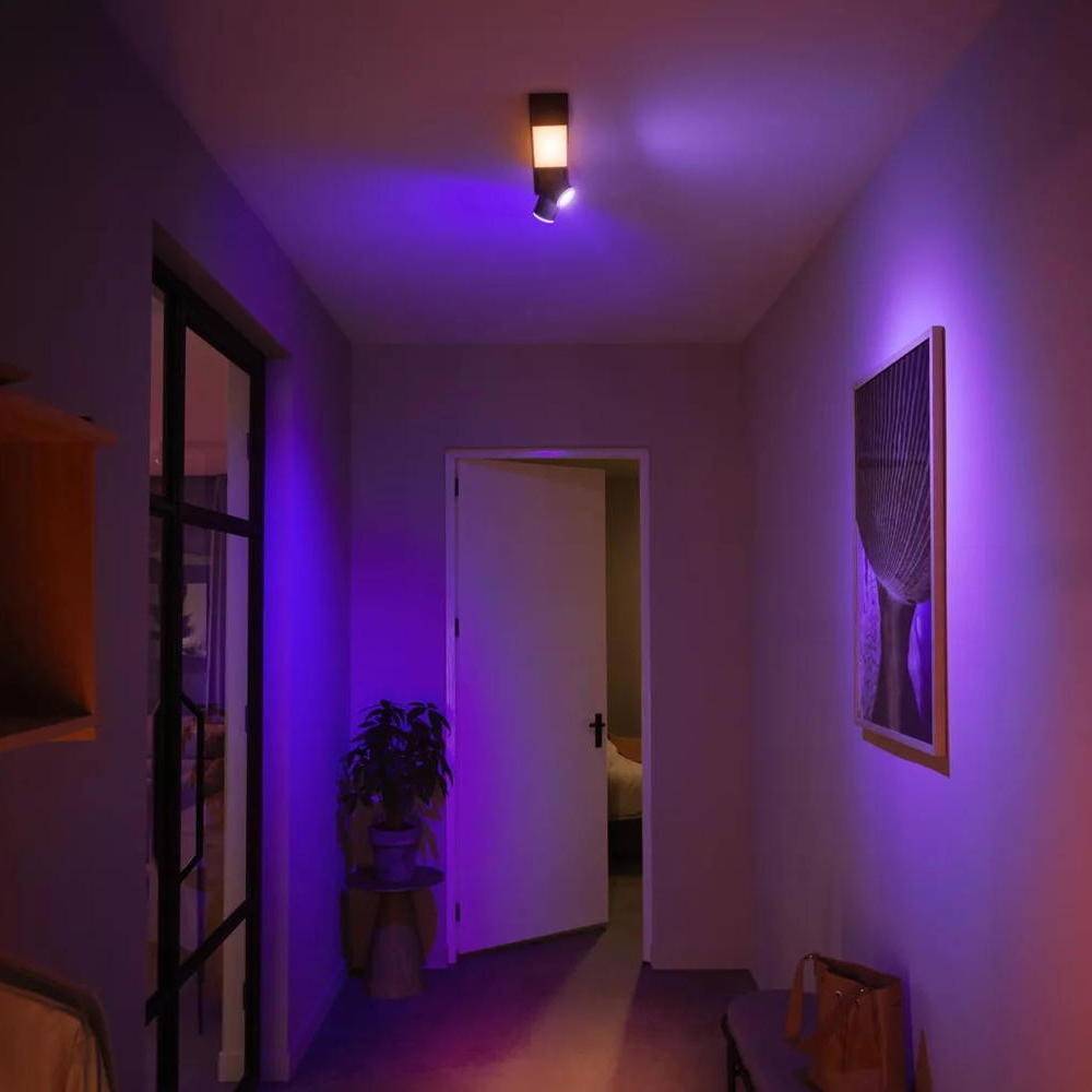 Philips Hue Bluetooth White & Color Ambiance Deckenleuchte Centris in Schwarz 22,4W 1410lm 2x GU10