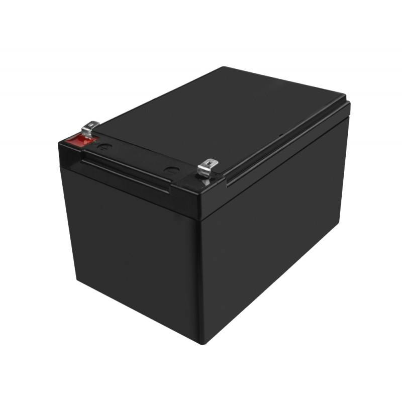 Green Cell - Batterie - Bleisäure - 10 Ah - Schwarz