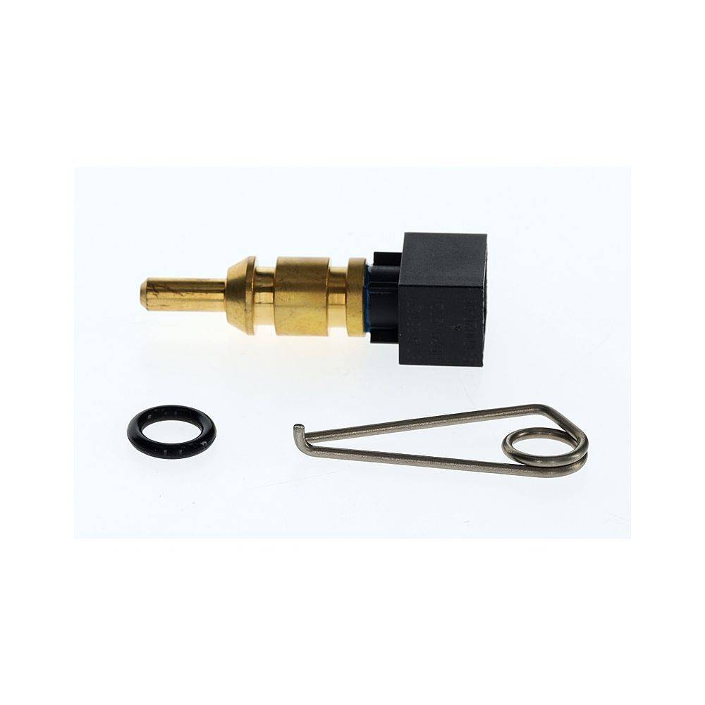 Bosch Temperaturfühler, 87145000810