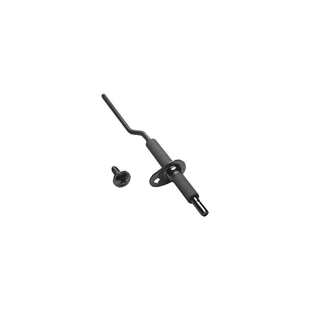 Bosch Ionisationselektrode, 87290107410