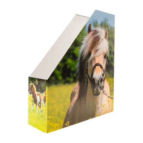 Stehsammler Karton Pferde