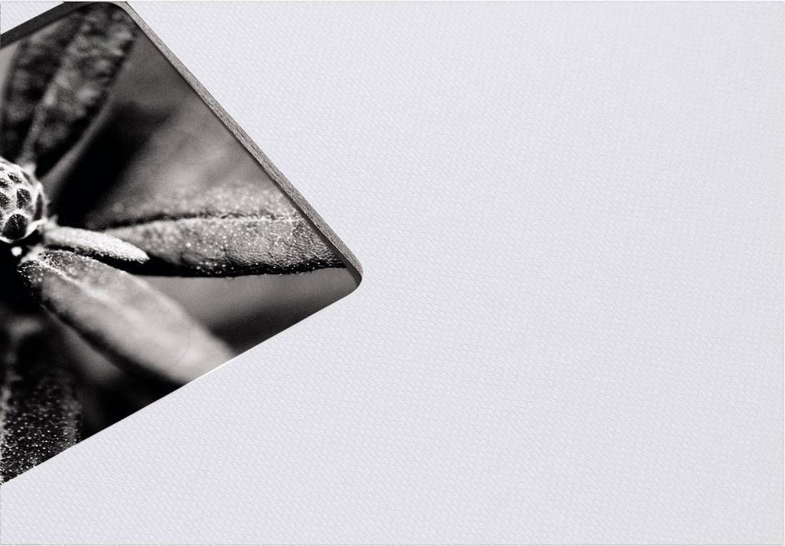 Hama 00002107 2107 Spiralalbum (B x H) 24 cm x 17 cm Grau 50 Seiten