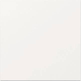 GIRA 349603 Wippe gerade System 55 Reinweiß