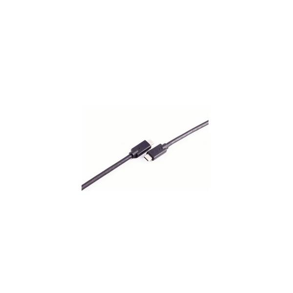 USB-C Verbindungskabel, USB Kabel Typ-C Stecker auf Typ C Stecker, 3.2 Gen 2x2, 100W, 0,25m