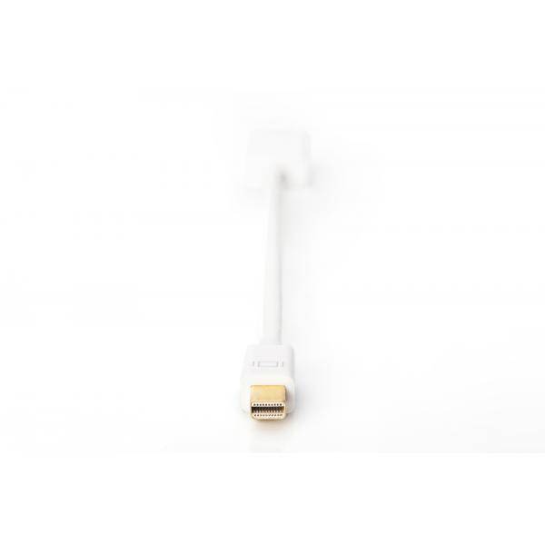 DIGITUS - DisplayPort Adapter / Konverter
