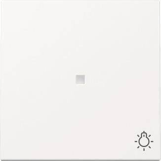 Wippe Kontrollf. + Symb. 367403 Licht System 55 Reinweiß