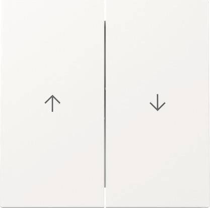 GIRA - Wippe 329470 2f Pfeil FL RW