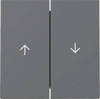 GIRA 329428 Wippe 2f Pfeil System 55 Anthrazit