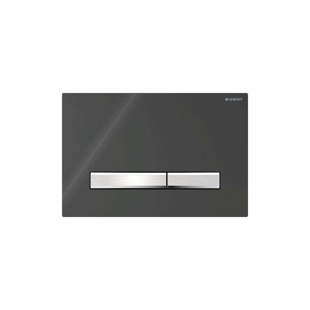 Geberit Betätigungsplatte Sigma50 2-Mengen schwarz RAL9005, square, 1 Stk.
