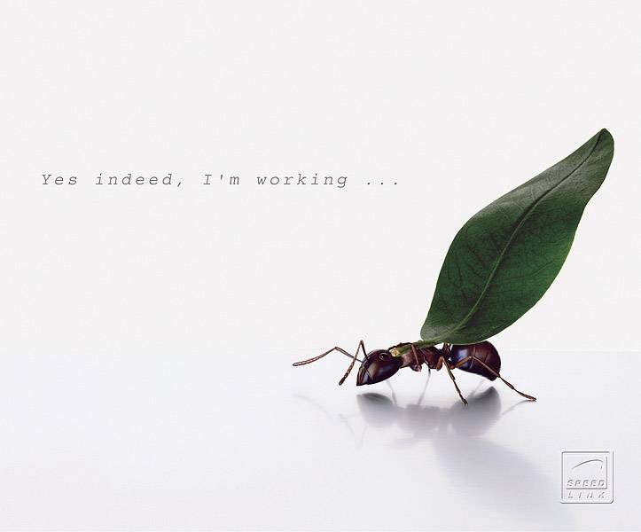 SpeedLink Silk Working Ants Mauspad  Weiß (L x B x H) 190 x 230 x 1.5 mm