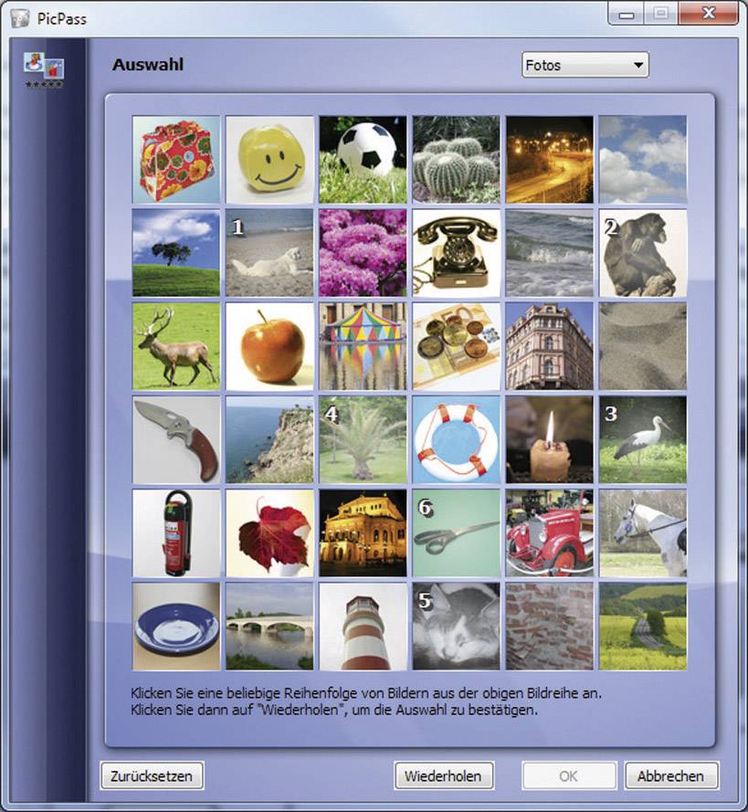 Avanquest Steganos Privacy Suite 2012 Vollversion, 1 Lizenz Windows Sicherheits-Software