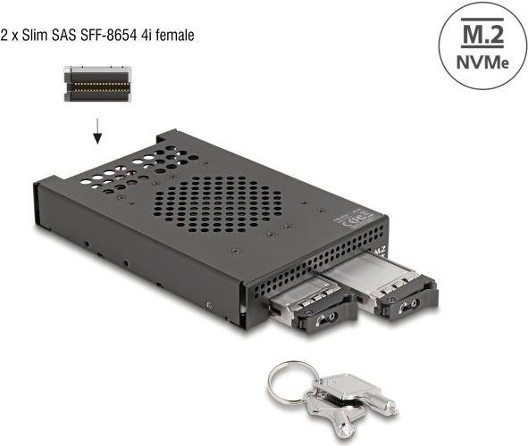 DELOCK 3.5 Wechselrahmen für 2 x M.2 NVMe SSD Slim SFF-8654