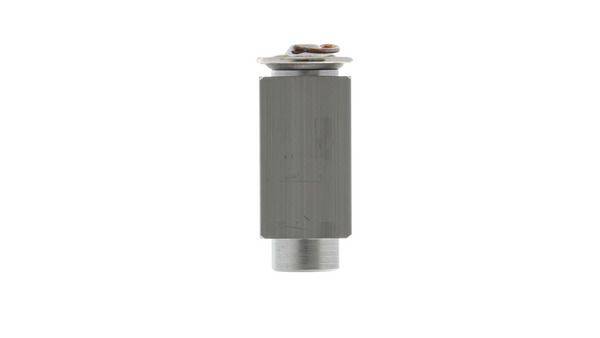 Mahle AVE98000P Expansionsventil, Klimaanlage